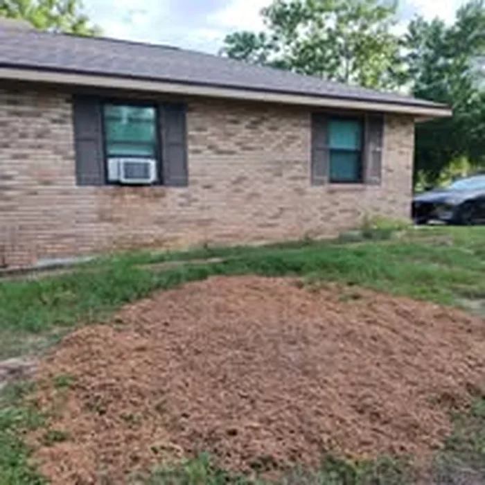 Yard after stump grinding