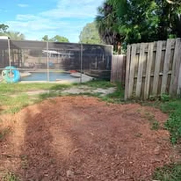 Area after stump grinding near fence