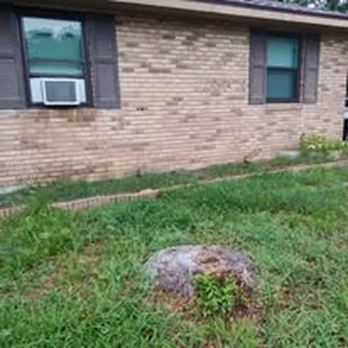 Stump before grinding