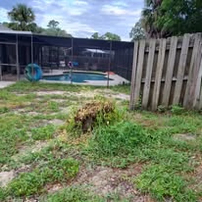 Stump before grinding near fence
